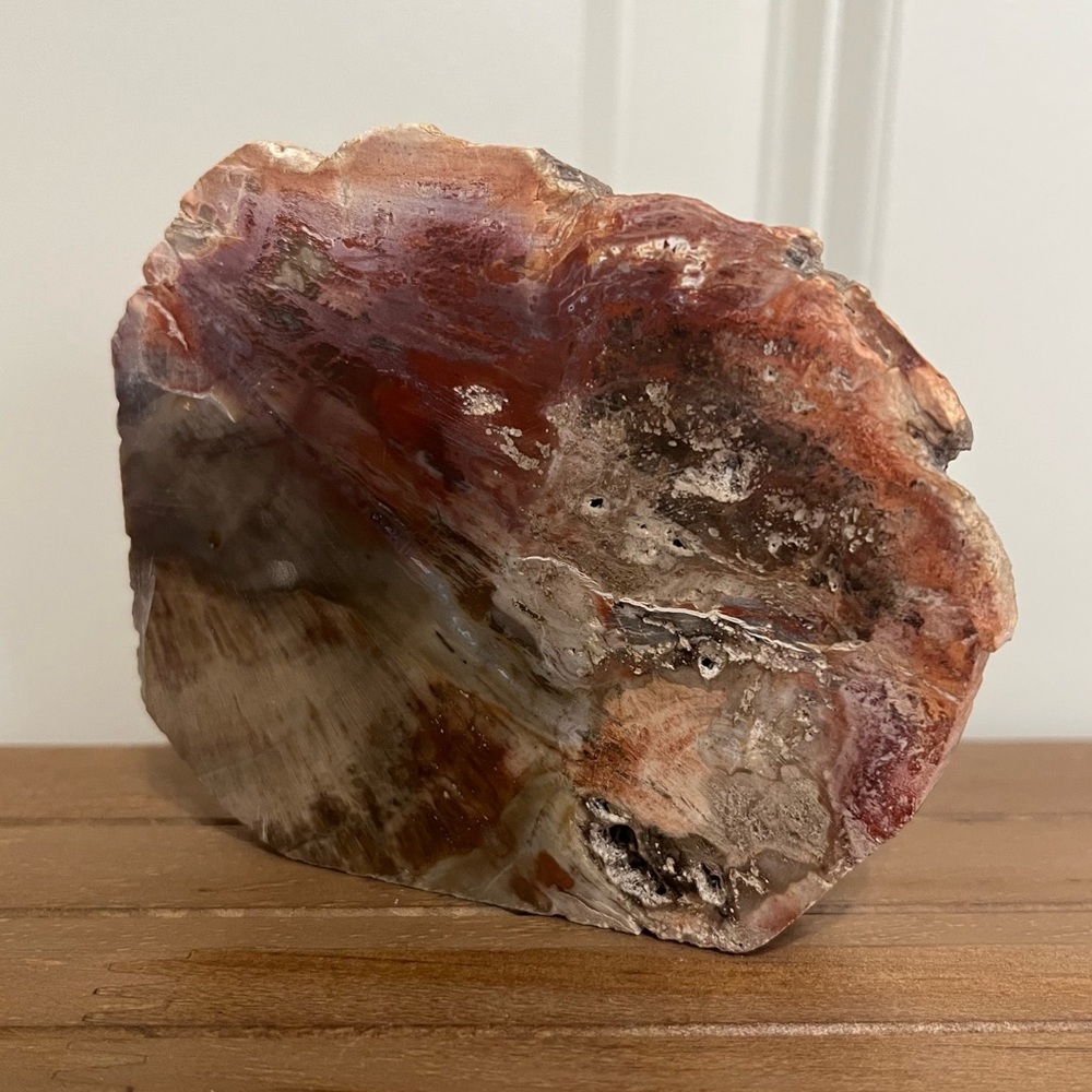 Petrified Wood Slab | Natural Stone Crystal Fossil Slice | Polished Both Sides